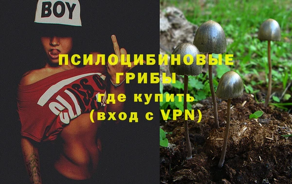 соль курить ск Абаза