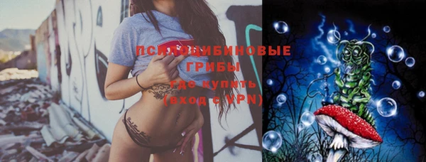 PSILOCYBIN Абинск